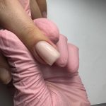 בייסיק הארד בייס 15