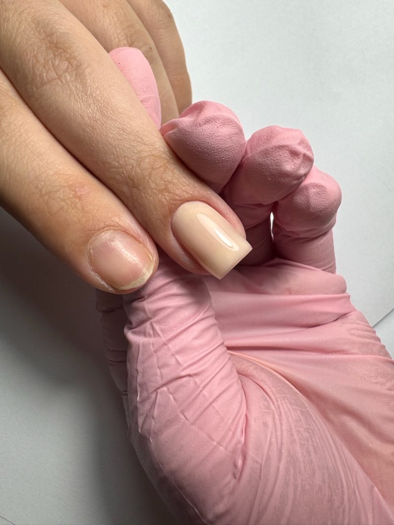 בייסיק הארד בייס 8